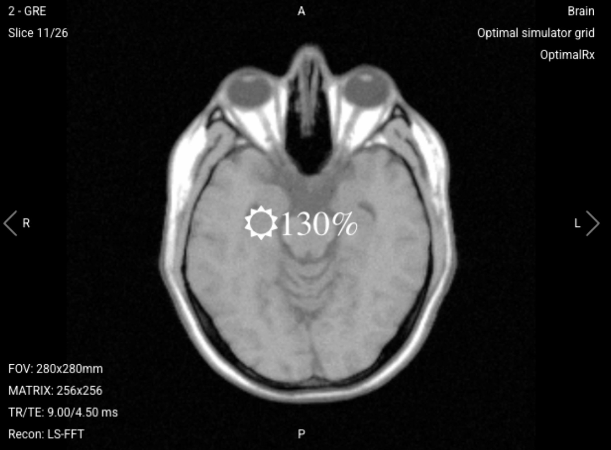 Commands in the Viewport